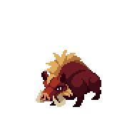 Boar