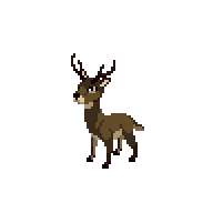 Deer