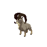 Ibex