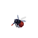 Mosquito