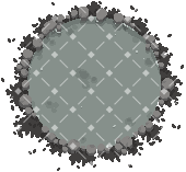 Pond