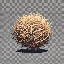 Tumbleweed